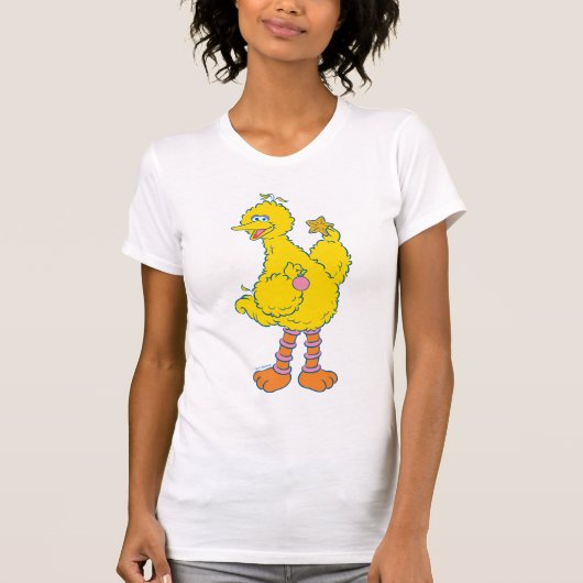 Big Bird Holding kerstversieringen T-shirt (Voorkant)