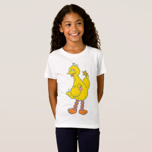 Big Bird Holding kerstversieringen T-shirt (Voorkant volledig)