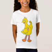 Big Bird Holding kerstversieringen T-shirt (Voorkant)