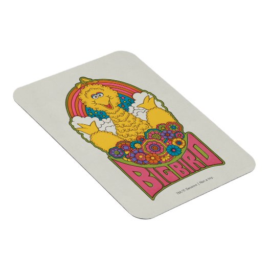Big Bird | Psychedelic Magneet (Rechterzijde)
