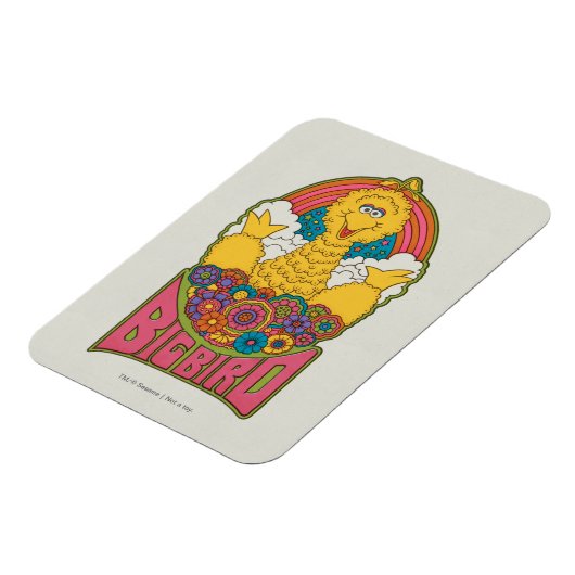 Big Bird | Psychedelic Magneet (Linkerzijde)