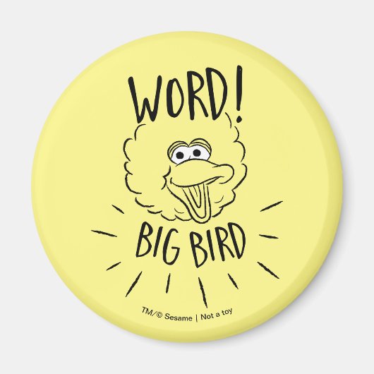 Big Bird Schaats Logo - Word! Big Bird Magneet (Voorkant)