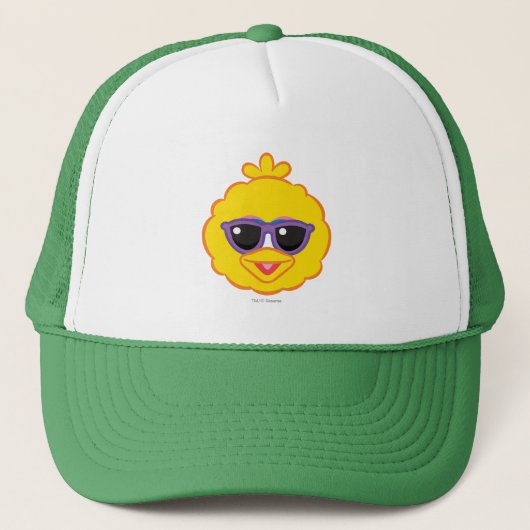 Big Bird Smilling Face met zonnebril Trucker Pet (Voorkant)