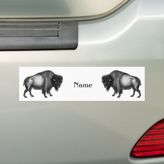 Big Bison Buffalo Thunder_Cove Bumpersticker (Op auto)