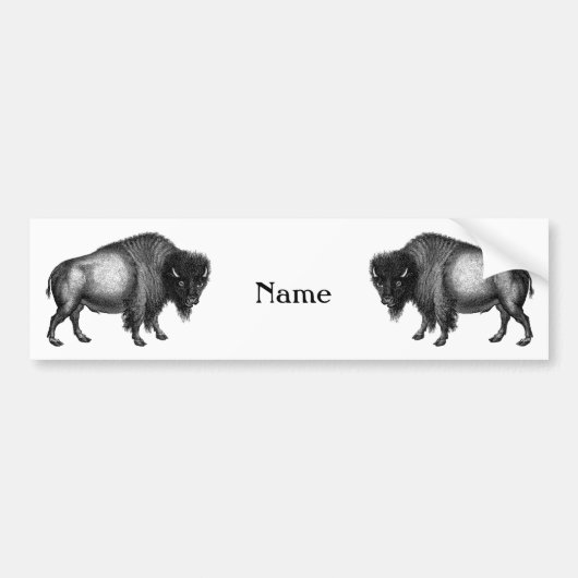 Big Bison Buffalo Thunder_Cove Bumpersticker (Voorkant)