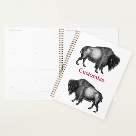 Big Bison Buffalo Thunder_Cove Planner (Display)