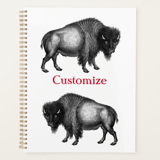 Big Bison Buffalo Thunder_Cove Planner (Voorkant)