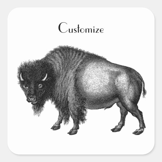 Big Bison Buffalo Thunder_Cove Vierkante Sticker (Voorkant)