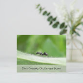 Big Black Ant Briefkaart (Staand voorkant)