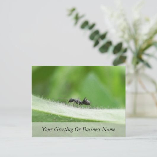 Big Black Ant Briefkaart (Staand voorkant)