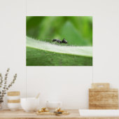 Big Black Ant Poster (Keuken)