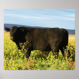 Big Black Bull in zonnebloemen - Toro - Taurus Poster