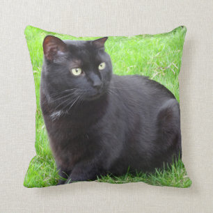 Big Black Cat Pillow Kussen