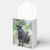 Big Black Jaguar Cat op zondag in Rock Bedankdoosjes (Geopend)