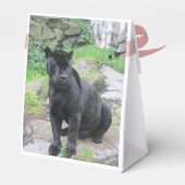 Big Black Jaguar Cat op zondag in Rock Bedankdoosjes (Achterkant)