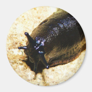 Big Black Slug Magneet
