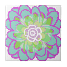 Big Blooming succulent