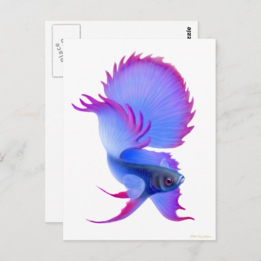 Big Blue Betta Fish Briefkaart (Voorkant / Achterkant)