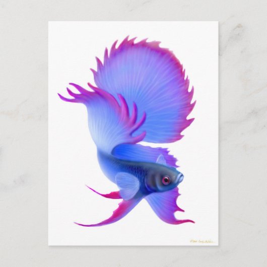 Big Blue Betta Fish Briefkaart (Voorkant)