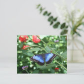 Big Blue Butterfly 2 Briefkaart (Staand voorkant)