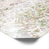 Big Blue Cassowary Bird, Foto Afdruk (Hoek)