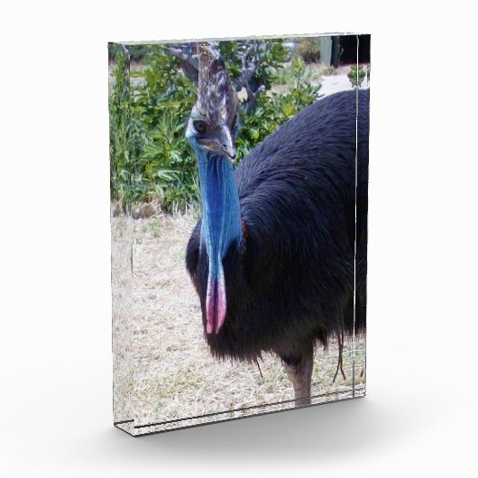 Big Blue Cassowary Bird, Fotoblokken (Links)