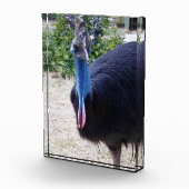 Big Blue Cassowary Bird, Fotoblokken (Rechts)
