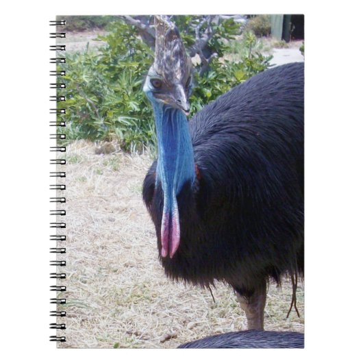 Big Blue Cassowary Bird, Notitieboek (Voorkant)