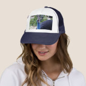 Big Blue Cassowary Bird, Trucker Pet (In situ)