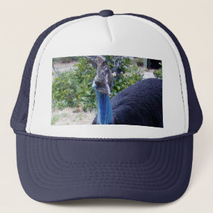 Big Blue Cassowary Bird, Trucker Pet