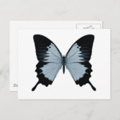 Big Blue en Black Butterfly Briefkaart (Voorkant / Achterkant)