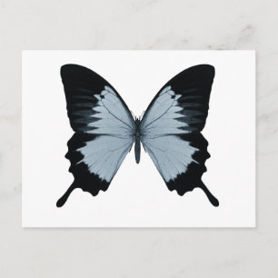 Big Blue en Black Butterfly Briefkaart