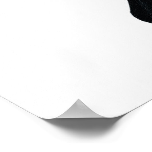 Big Blue en Black Butterfly Poster (Hoek)