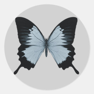 Big Blue en Black Butterfly Ronde Sticker