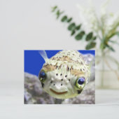 Big Blue Eyes Briefkaart (Staand voorkant)