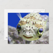 Big Blue Eyes Briefkaart (Voorkant / Achterkant)