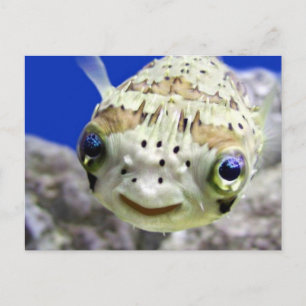 Big Blue Eyes Briefkaart