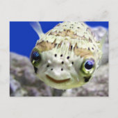 Big Blue Eyes Briefkaart (Voorkant)