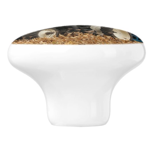 Big Blue  Keramische Knop (Zijkant)