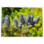 Big Blue Korean Fir Cones Large Cadeautasje (Achterkant)