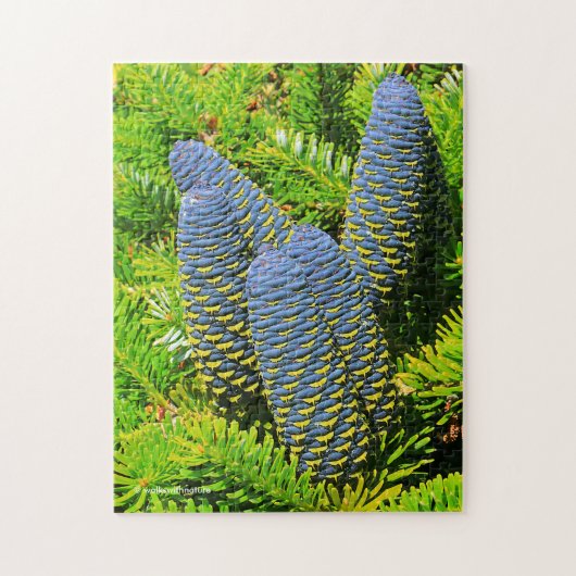 Big Blue Korean Fir Cones Legpuzzel (Verticaal)