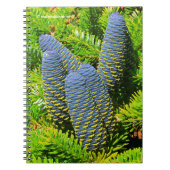Big Blue Korean Fir Cones Notitieboek (Voorkant)