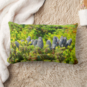 Big Blue Korean Fir en Cones Kussen