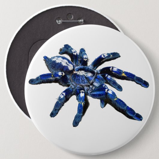 Big blue Tarantula spin, reuzenspin Ronde Button 6,0 Cm (Voorkant /achterkant)