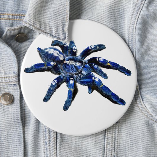 Big blue Tarantula spin, reuzenspin Ronde Button 6,0 Cm (In situ)