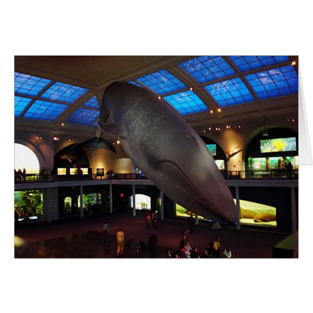 Big Blue Whale (Voorkant Horizontaal)