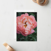 Big Bold Pink Peony Notitiekaartje (Voorkant / Achterkant in situ)