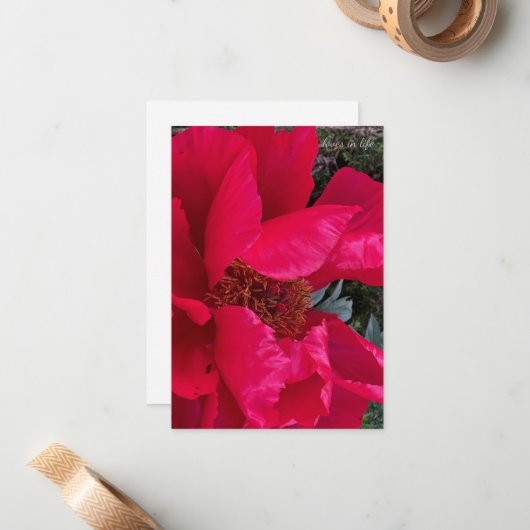 Big Bold Red Peony Notitiekaartje (Voorkant / Achterkant in situ)