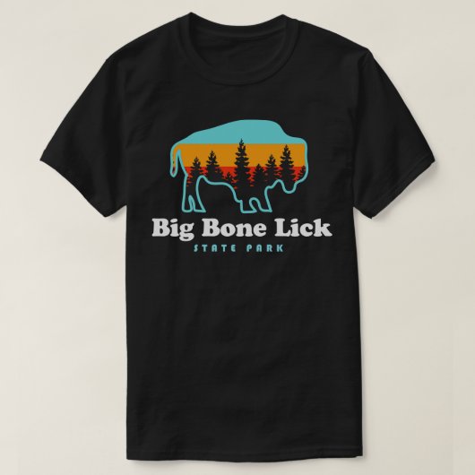 Big Bone Lick State Park Kentucky Bizon Fossielen T-shirt (Design voorkant)