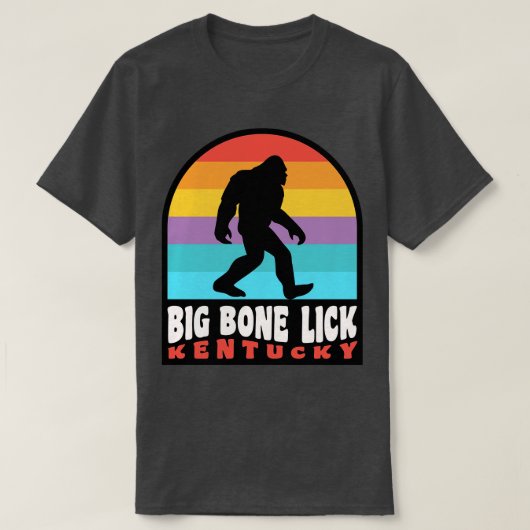 Big Bone Lick State Park Kentucky Bizon T-shirt (Design voorkant)